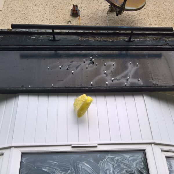 WP 20180929 10 45 15 Pro 600x600