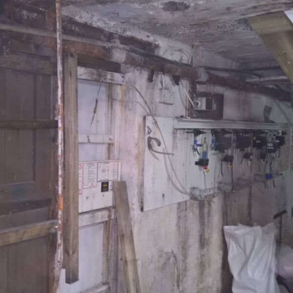 WP 20181126 13 25 20 Pro 600x600