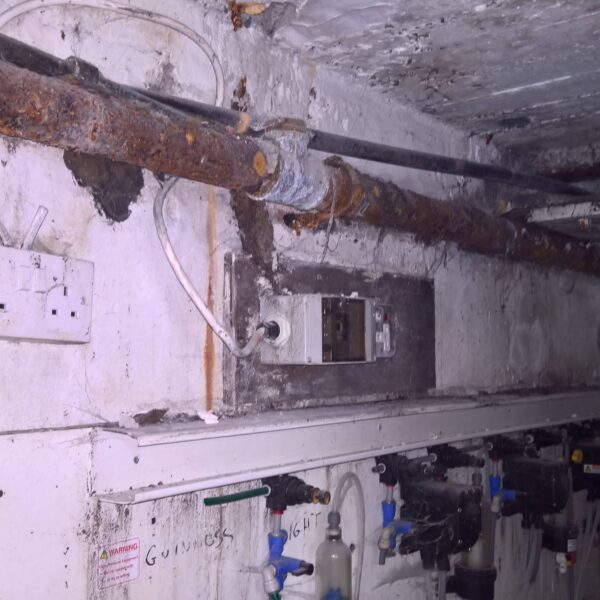 WP 20181126 13 29 44 Pro 600x600